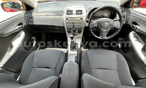 Buy Used Toyota Corolla Red Car in Nairobi in Nairobi