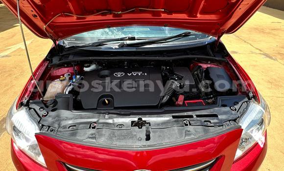 Nunua Ilio tumika Toyota Corolla Nyekundu Gari ndani ya Nairobi nchini Nairobi Nunua Ilio tumika Toyota Corolla Nyekundu Gari ndani ya Nairobi nchini Nairobi
