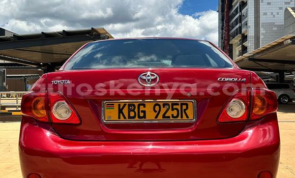 Nunua Ilio tumika Toyota Corolla Nyekundu Gari ndani ya Nairobi nchini Nairobi Nunua Ilio tumika Toyota Corolla Nyekundu Gari ndani ya Nairobi nchini Nairobi