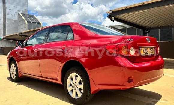 Nunua Ilio tumika Toyota Corolla Nyekundu Gari ndani ya Nairobi nchini Nairobi Nunua Ilio tumika Toyota Corolla Nyekundu Gari ndani ya Nairobi nchini Nairobi
