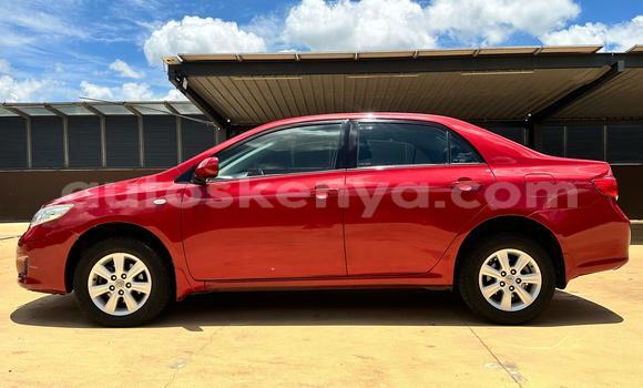 Nunua Ilio tumika Toyota Corolla Nyekundu Gari ndani ya Nairobi nchini Nairobi Nunua Ilio tumika Toyota Corolla Nyekundu Gari ndani ya Nairobi nchini Nairobi