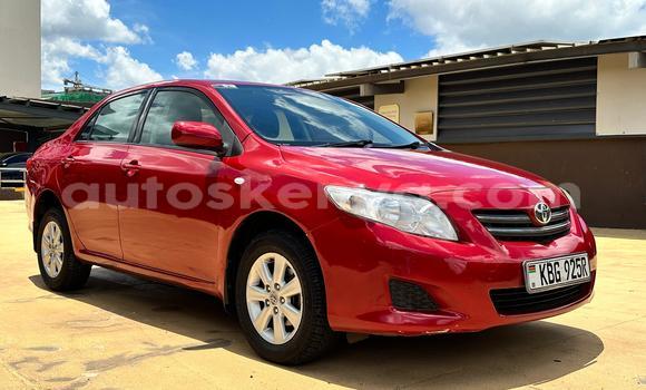 Nunua Ilio tumika Toyota Corolla Nyekundu Gari ndani ya Nairobi nchini Nairobi Nunua Ilio tumika Toyota Corolla Nyekundu Gari ndani ya Nairobi nchini Nairobi