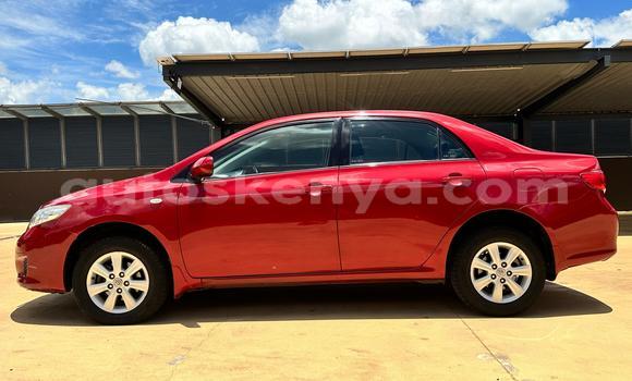Nunua Ilio tumika Toyota Corolla Nyekundu Gari ndani ya Nairobi nchini Nairobi Nunua Ilio tumika Toyota Corolla Nyekundu Gari ndani ya Nairobi nchini Nairobi