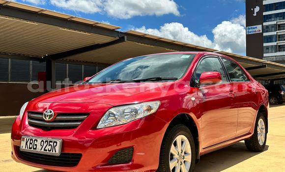 Nunua Ilio tumika Toyota Corolla Nyekundu Gari ndani ya Nairobi nchini Nairobi Nunua Ilio tumika Toyota Corolla Nyekundu Gari ndani ya Nairobi nchini Nairobi