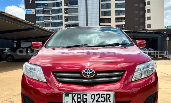 Nunua Ilio tumika Toyota Corolla Nyekundu Gari ndani ya Nairobi nchini Nairobi Nunua Ilio tumika Toyota Corolla Nyekundu Gari ndani ya Nairobi nchini Nairobi