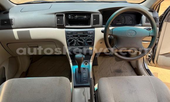 Nunua Ilio tumika Toyota Corolla Beige Gari ndani ya Nairobi nchini Nairobi Nunua Ilio tumika Toyota Corolla Beige Gari ndani ya Nairobi nchini Nairobi