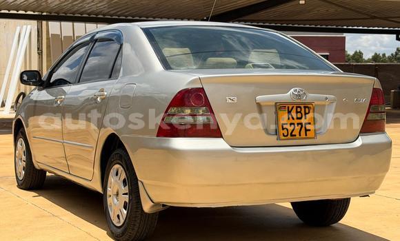 Nunua Ilio tumika Toyota Corolla Beige Gari ndani ya Nairobi nchini Nairobi Nunua Ilio tumika Toyota Corolla Beige Gari ndani ya Nairobi nchini Nairobi