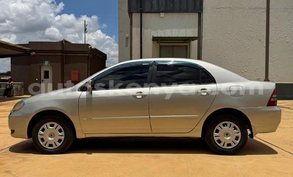 Nunua Ilio tumika Toyota Corolla Beige Gari ndani ya Nairobi nchini Nairobi Nunua Ilio tumika Toyota Corolla Beige Gari ndani ya Nairobi nchini Nairobi