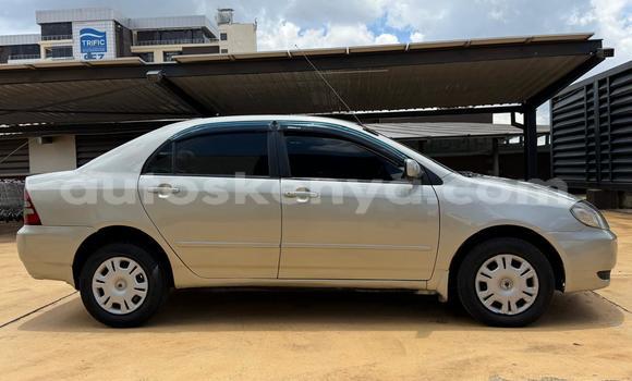 Nunua Ilio tumika Toyota Corolla Beige Gari ndani ya Nairobi nchini Nairobi Nunua Ilio tumika Toyota Corolla Beige Gari ndani ya Nairobi nchini Nairobi