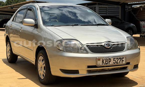 Nunua Ilio tumika Toyota Corolla Beige Gari ndani ya Nairobi nchini Nairobi Nunua Ilio tumika Toyota Corolla Beige Gari ndani ya Nairobi nchini Nairobi