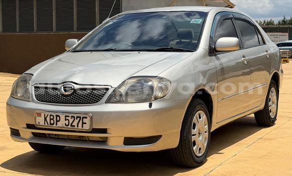 Nunua Ilio tumika Toyota Corolla Beige Gari ndani ya Nairobi nchini Nairobi Nunua Ilio tumika Toyota Corolla Beige Gari ndani ya Nairobi nchini Nairobi