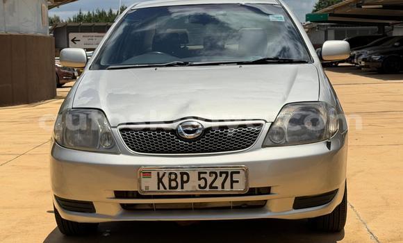 Nunua Ilio tumika Toyota Corolla Beige Gari ndani ya Nairobi nchini Nairobi Nunua Ilio tumika Toyota Corolla Beige Gari ndani ya Nairobi nchini Nairobi