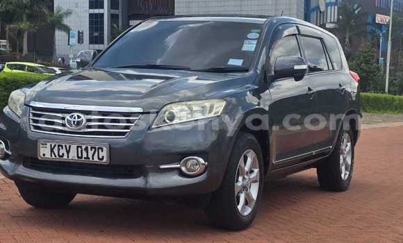 Buy Used Toyota Vanguard Other Car in Nairobi in Nairobi Buy Used Toyota Vanguard Other Car in Nairobi in Nairobi