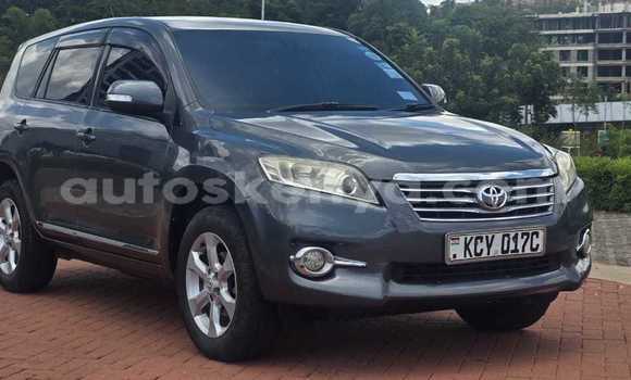 Buy Used Toyota Vanguard Other Car in Nairobi in Nairobi Buy Used Toyota Vanguard Other Car in Nairobi in Nairobi