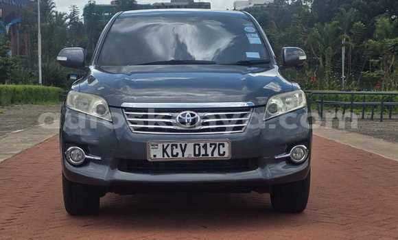 Buy Used Toyota Vanguard Other Car in Nairobi in Nairobi Buy Used Toyota Vanguard Other Car in Nairobi in Nairobi