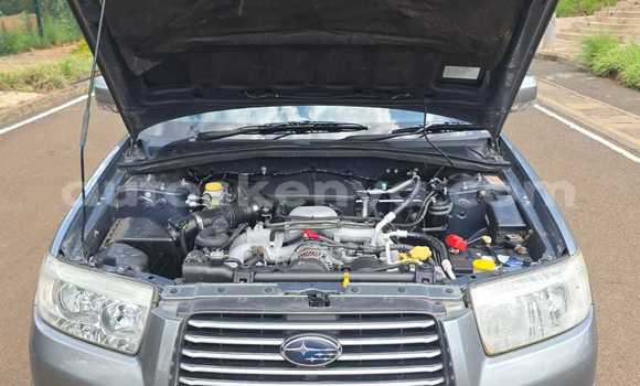 Buy Used Subaru Forester Other Car in Nairobi in Nairobi