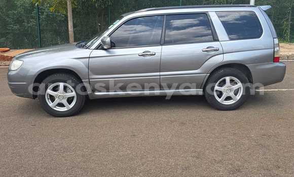 Buy Used Subaru Forester Other Car in Nairobi in Nairobi Buy Used Subaru Forester Other Car in Nairobi in Nairobi