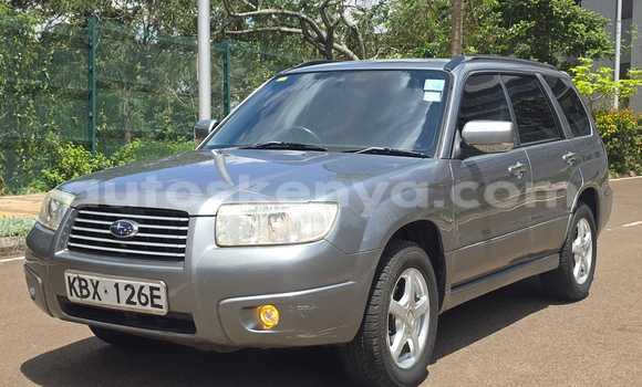 Buy Used Subaru Forester Other Car in Nairobi in Nairobi Buy Used Subaru Forester Other Car in Nairobi in Nairobi