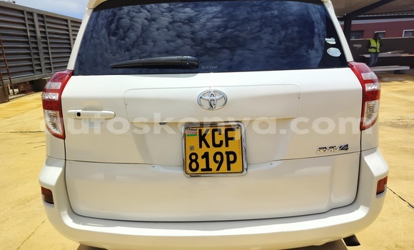 Buy Used Toyota RAV4 White Car in Nairobi in Nairobi Buy Used Toyota RAV4 White Car in Nairobi in Nairobi