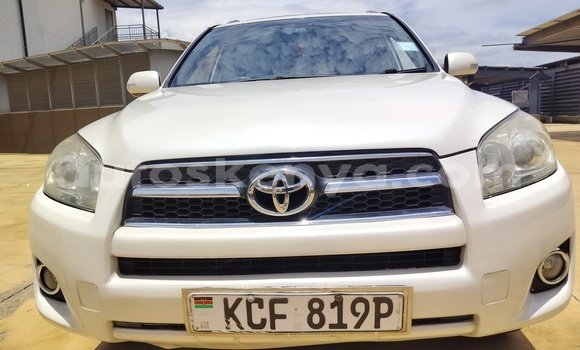 Buy Used Toyota RAV4 White Car in Nairobi in Nairobi Buy Used Toyota RAV4 White Car in Nairobi in Nairobi