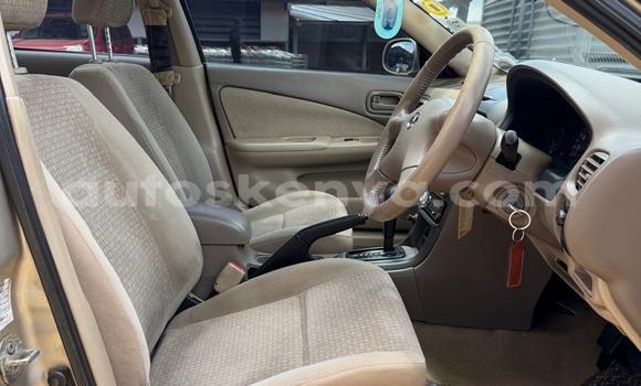 Nunua Ilio tumika Nissan Sunny Beige Gari ndani ya Nairobi nchini Nairobi Nunua Ilio tumika Nissan Sunny Beige Gari ndani ya Nairobi nchini Nairobi