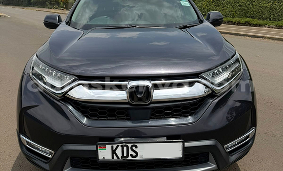 Oofamaa Honda CR–V Other Makiinaa iti Nairobi keessatti Nairobi keessatti Oofamaa Honda CR–V Other Makiinaa iti Nairobi keessatti Nairobi keessatti