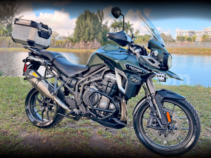 Big with watermark triumph tiger nairobi athi river 29412