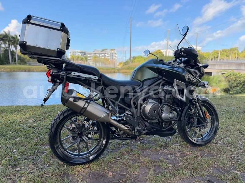 Big with watermark triumph tiger nairobi athi river 29412