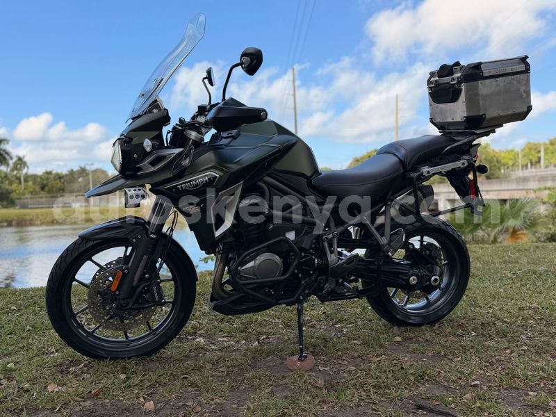 Big with watermark triumph tiger nairobi athi river 29412