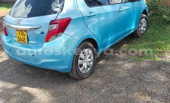 Buy Used Toyota Vitz Blue Car in Thika in Central Kenya Buy Used Toyota Vitz Blue Car in Thika in Central Kenya