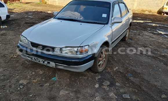 Buy Used Toyota T100 Silver Car in Nairobi in Nairobi Buy Used Toyota T100 Silver Car in Nairobi in Nairobi