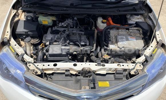 Oofamaa Toyota Fielder White Makiinaa iti Nairobi keessatti Nairobi keessatti Oofamaa Toyota Fielder White Makiinaa iti Nairobi keessatti Nairobi keessatti