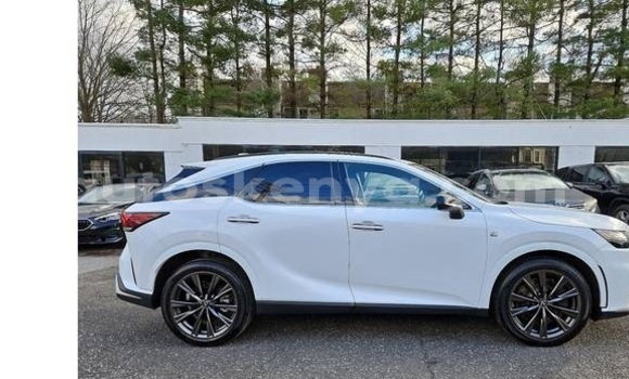 Buy Used Lexus RX 350 White Car in Nairobi in Nairobi Buy Used Lexus RX 350 White Car in Nairobi in Nairobi