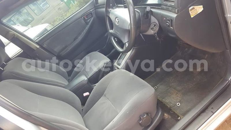 Big with watermark 58595584 10217564846665690 7743323149852213248 n