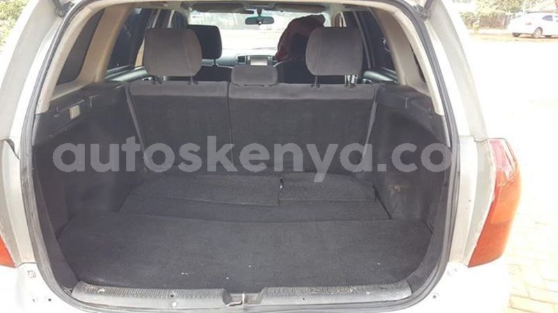 Big with watermark 59301344 10217564846105676 453248727675568128 n