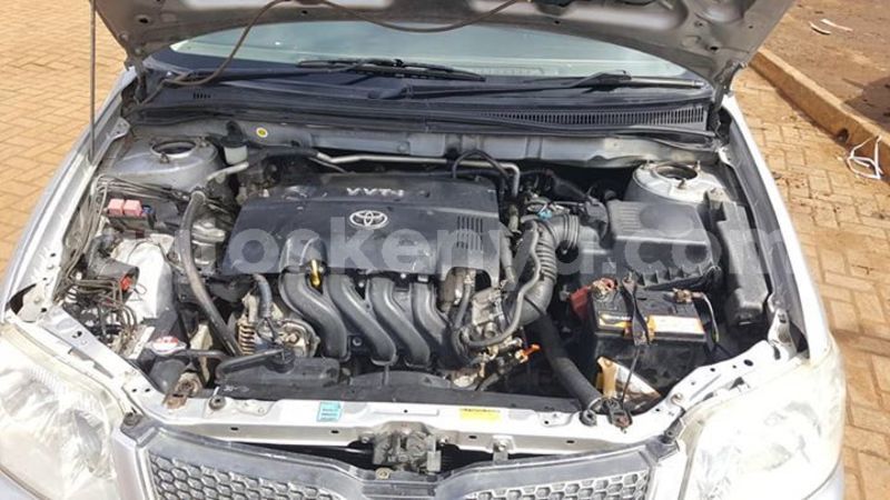 Big with watermark 58577533 10217564845945672 7557052922190626816 n