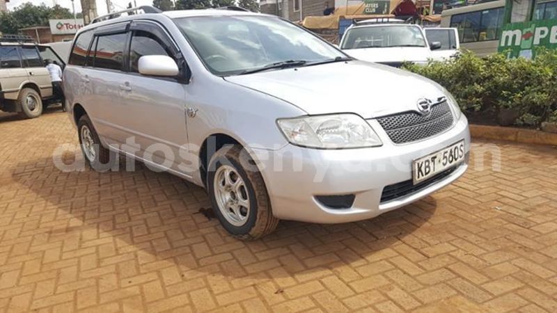 Big with watermark 58662267 10217564845305656 7897226448136568832 n