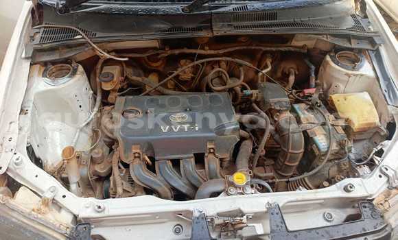 Nunua Ilio tumika Toyota Probox Nyeupe Gari ndani ya Nairobi nchini Nairobi Nunua Ilio tumika Toyota Probox Nyeupe Gari ndani ya Nairobi nchini Nairobi