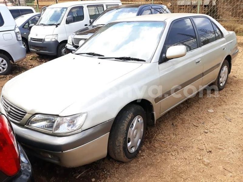 Big with watermark 54516685 2252400828373966 711992894914822144 n