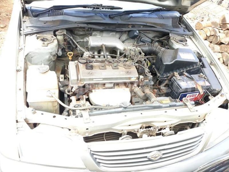 Big with watermark 53660814 2252401105040605 4289187296516767744 n