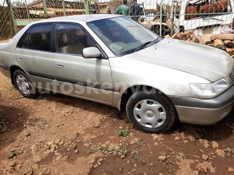 Big with watermark 54142900 2252400858373963 8689958663722369024 n