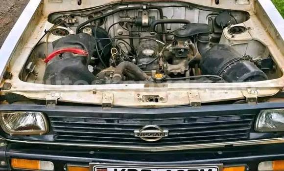 Oofamaa Nissan Datsun White Makiinaa iti Machakos keessatti Nairobi keessatti Oofamaa Nissan Datsun White Makiinaa iti Machakos keessatti Nairobi keessatti