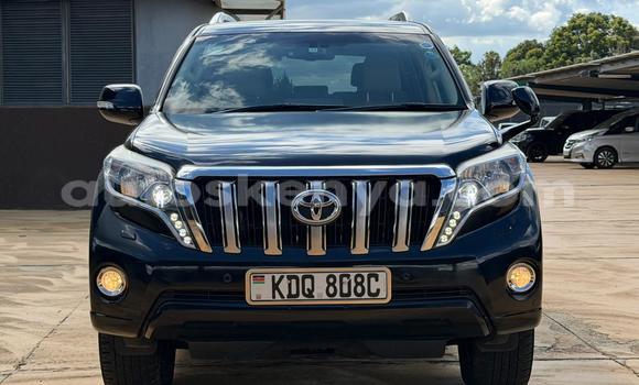 Buy Used Toyota Land Cruiser Prado Black Car in Nairobi in Nairobi