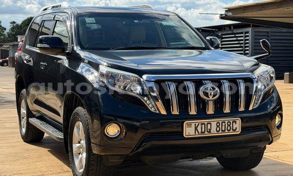 Oofamaa Toyota Land Cruiser Prado Black Makiinaa iti Nairobi keessatti Nairobi keessatti Oofamaa Toyota Land Cruiser Prado Black Makiinaa iti Nairobi keessatti Nairobi keessatti