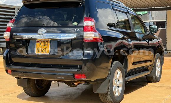 Oofamaa Toyota Land Cruiser Prado Black Makiinaa iti Nairobi keessatti Nairobi keessatti Oofamaa Toyota Land Cruiser Prado Black Makiinaa iti Nairobi keessatti Nairobi keessatti