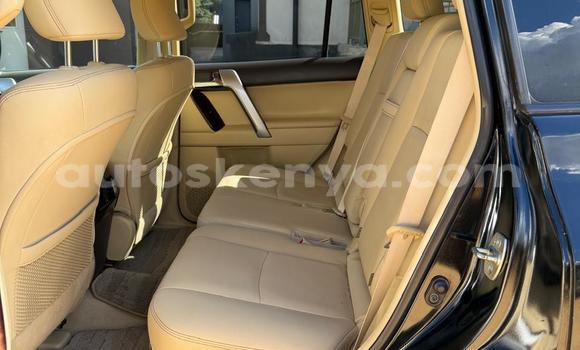 Oofamaa Toyota Land Cruiser Prado Black Makiinaa iti Nairobi keessatti Nairobi keessatti Oofamaa Toyota Land Cruiser Prado Black Makiinaa iti Nairobi keessatti Nairobi keessatti