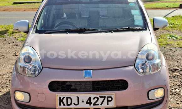 Buy Used Toyota Passo Other Car in Nairobi in Nairobi