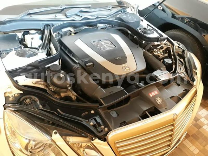 Big with watermark 53779044 2248219658792083 7360766366938300416 n