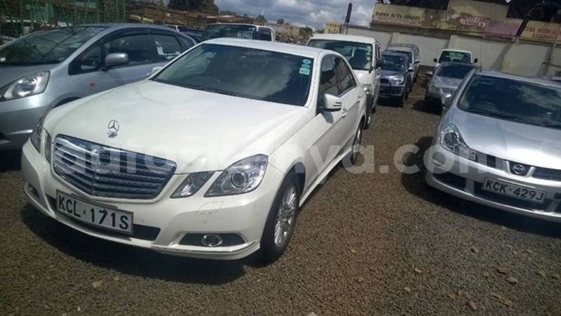 Big with watermark 53832779 2248219542125428 5759634805603958784 n