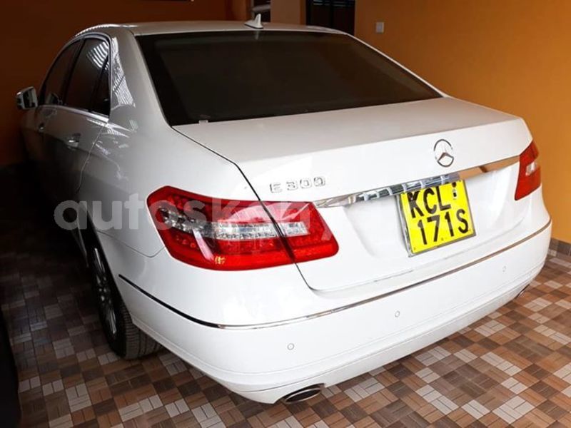 Big with watermark 52991278 2248219368792112 2902285061774639104 n